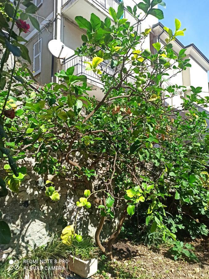 Lemons House Apartment Monterosso al Mare Exterior photo